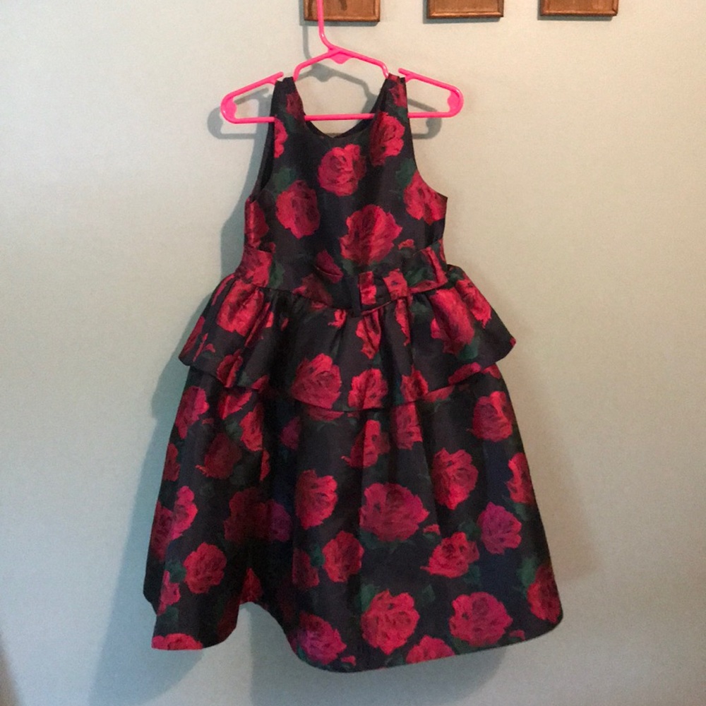 Gorgeous Janie and Jack Dress 🌹
